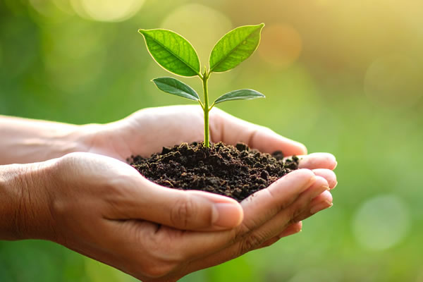 Normas Técnicas para Sustentabilidade na Construção Civil: Da ABNT à ISO 14001